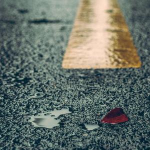 青青草十年沉淀回归下载
